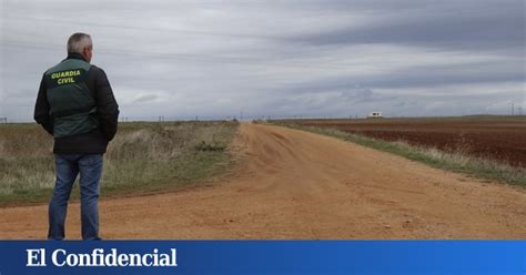 chica zamora|Perros sueltos y un pueblo de Zamora que vio venir la。